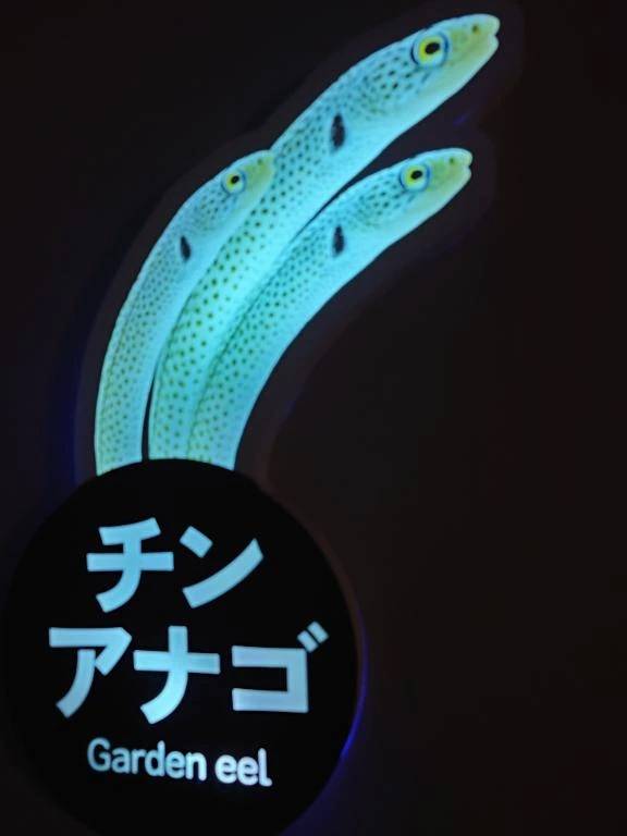 出勤しました！