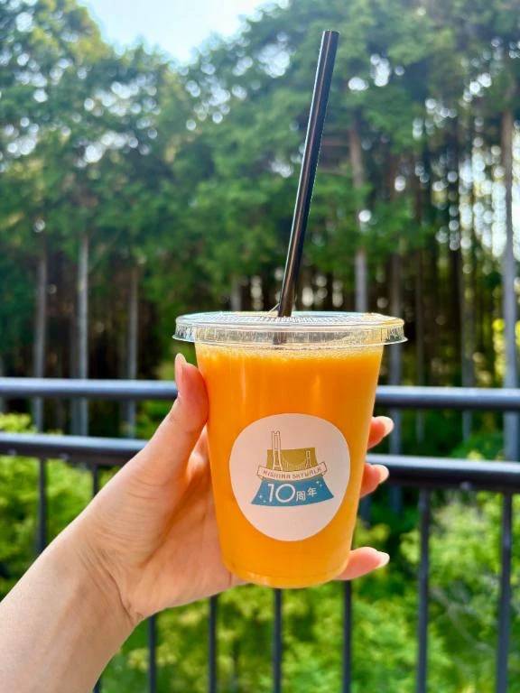 夏の終わり🌻🌈