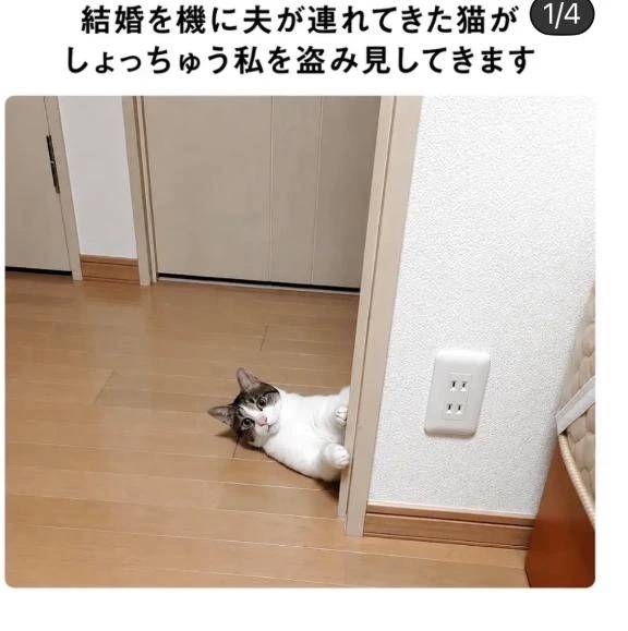 ちょっとスタート押してます💦