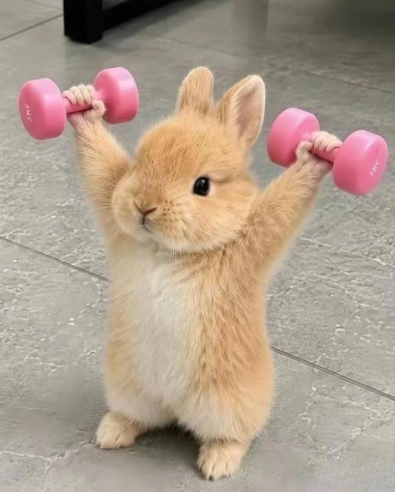 明日と明後日！
