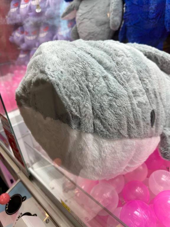 🌀 台風にも負けないッッッ！！！