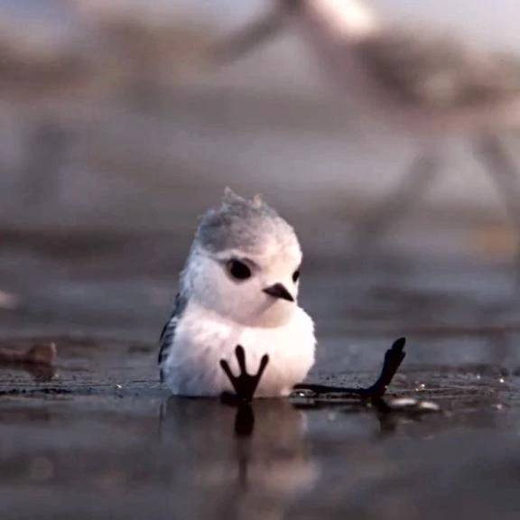 ごめんなさい😢