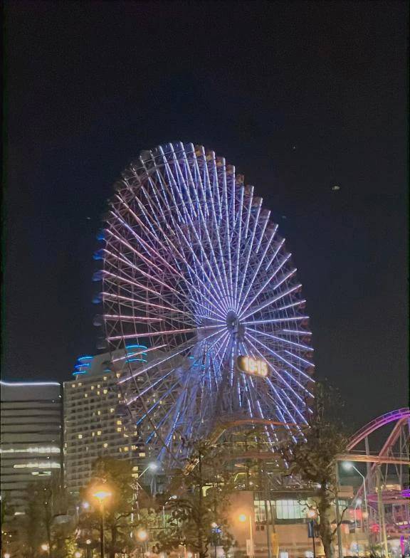 🚡 空のお散歩、お値段も高め 🚡