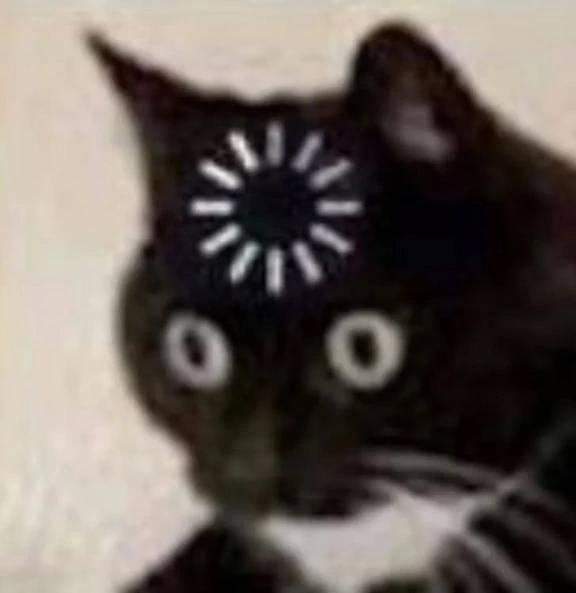 今これ😭🐱🌀