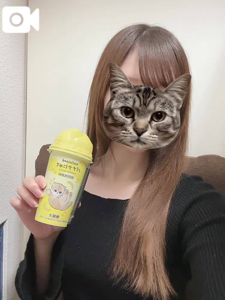 おはよう🐱