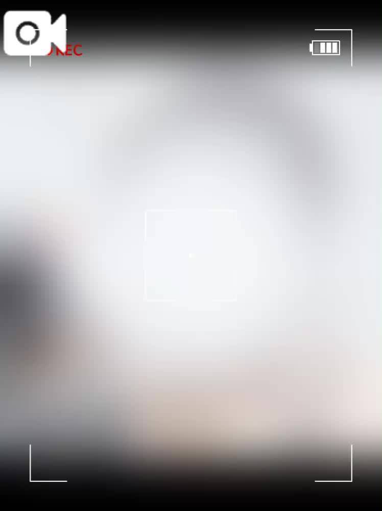 【動画】到着してましゅ⊂( ᐢ꒳ᐢ)⊃🌟