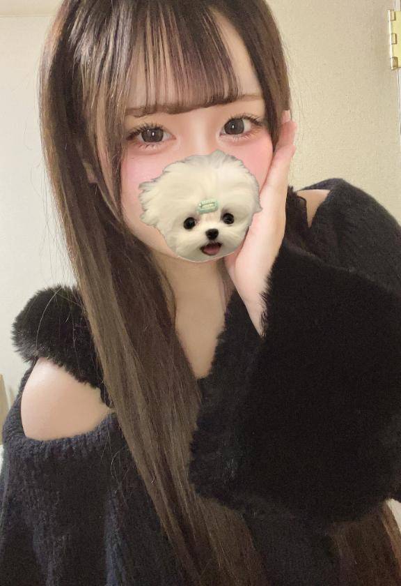 次回は明日❕