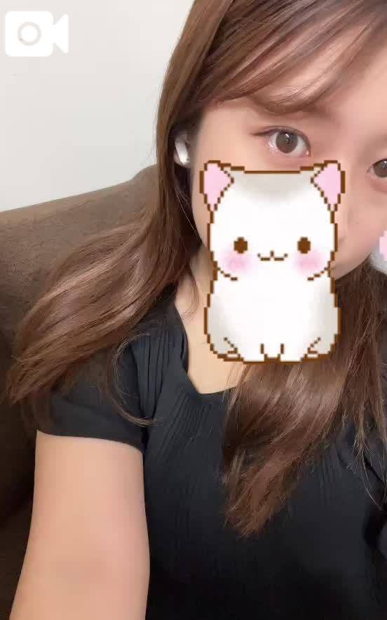 出勤だにゃー