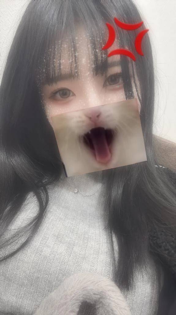 絶対!