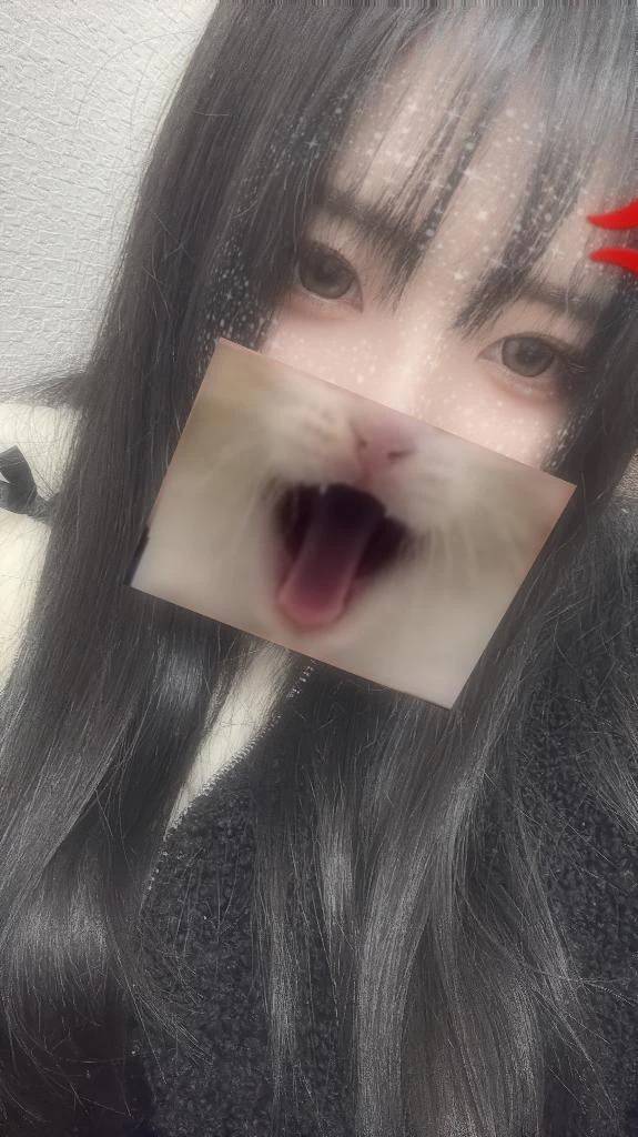 しゅ！昨日のお礼