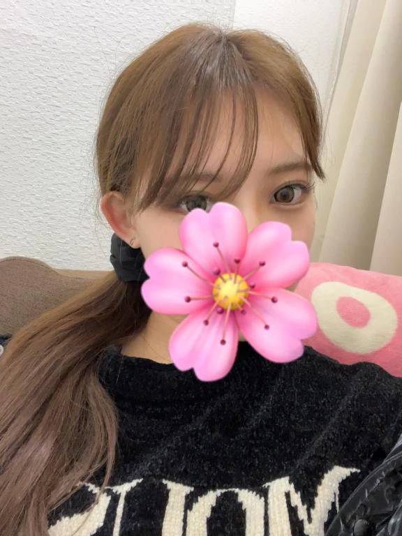 お久しぶりです🌸