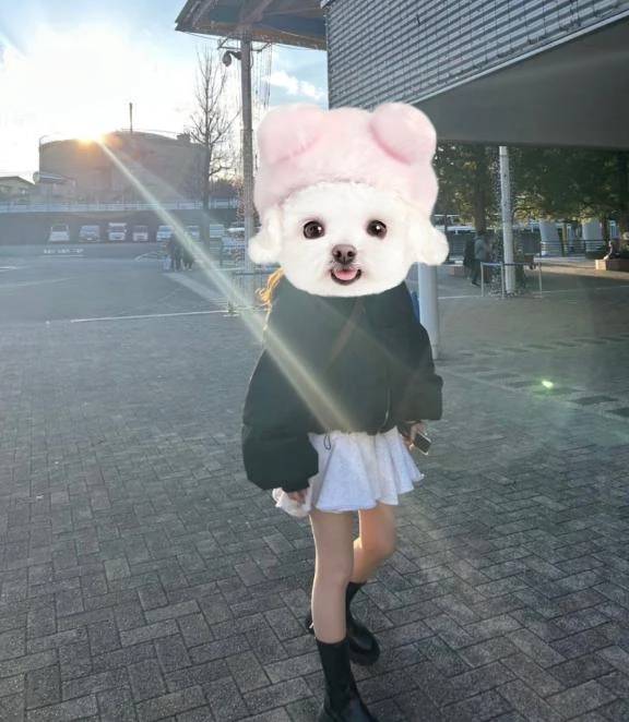 おでかけ