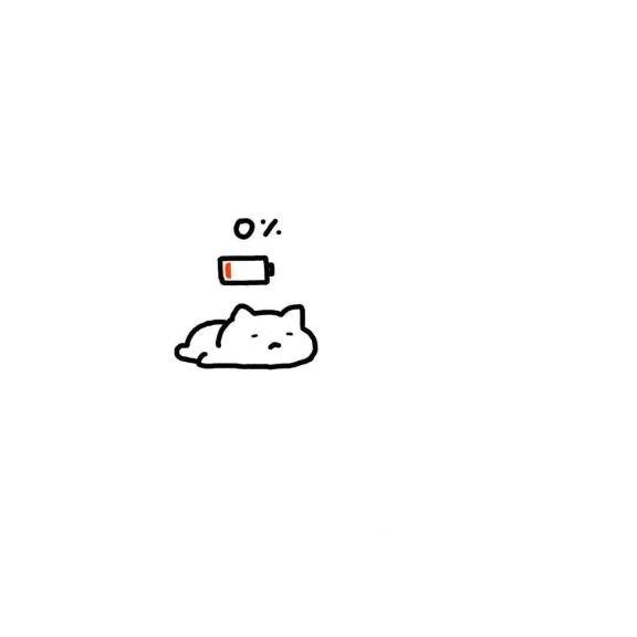 明日🙀