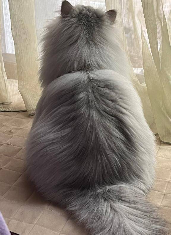 明日からいます🤍