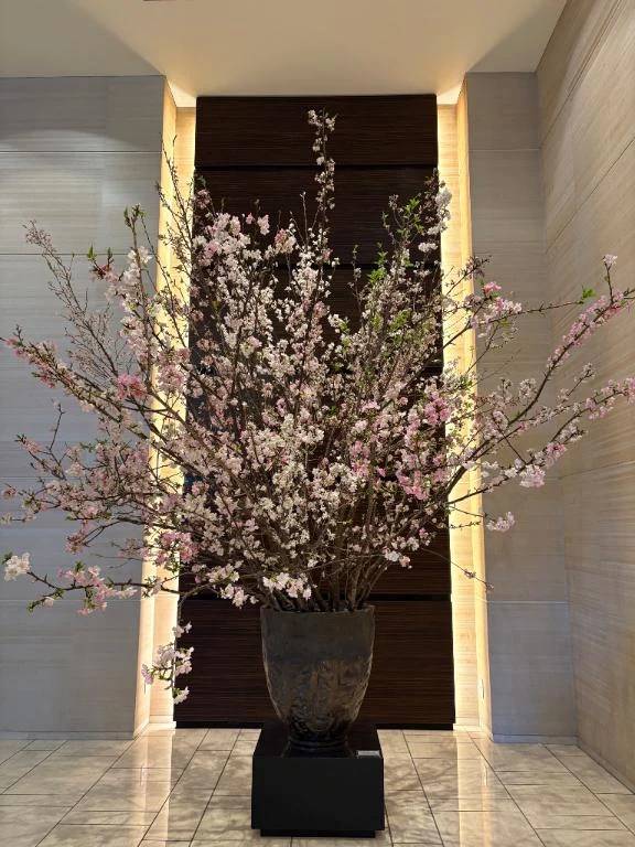 最近のお出かけ話♡