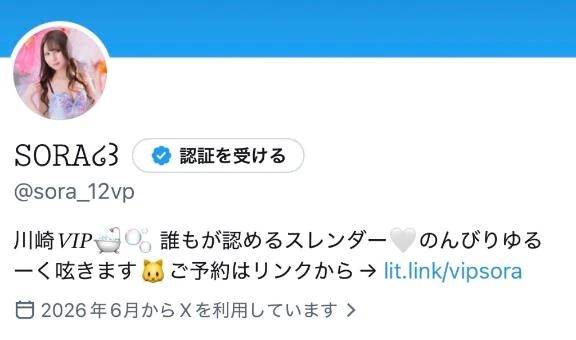 空(VIP)