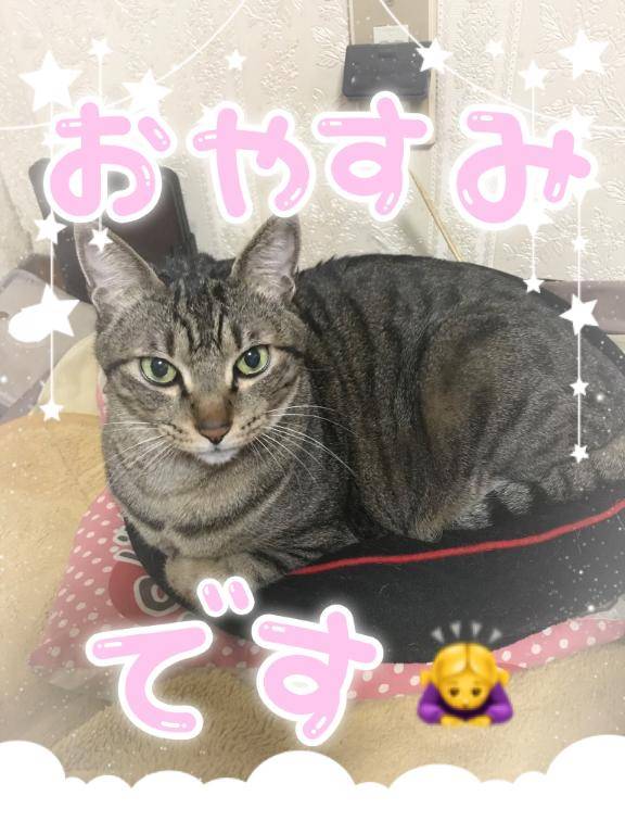 昨日の御礼??とお休みの連絡