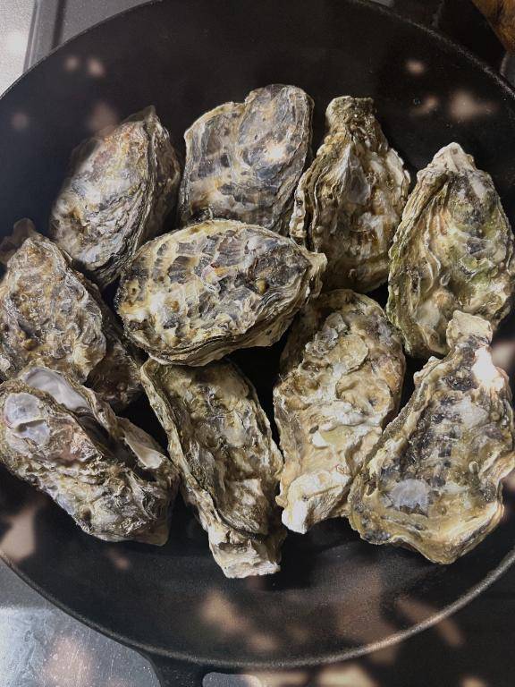 タウリン補給??