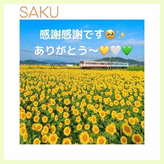 8月スタート