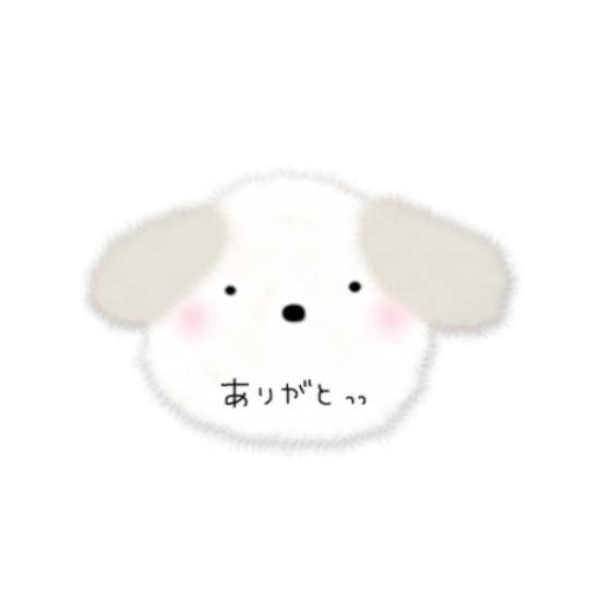 今日居ます