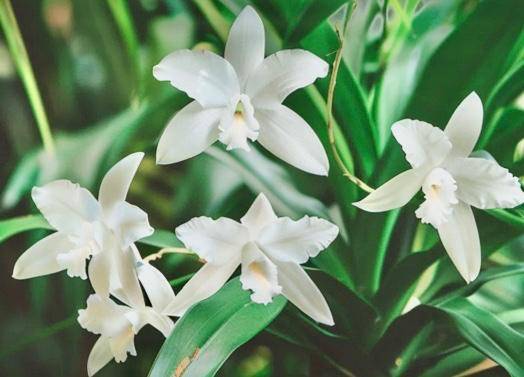 おはようございます～♪