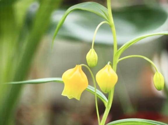 おはようございます～♪