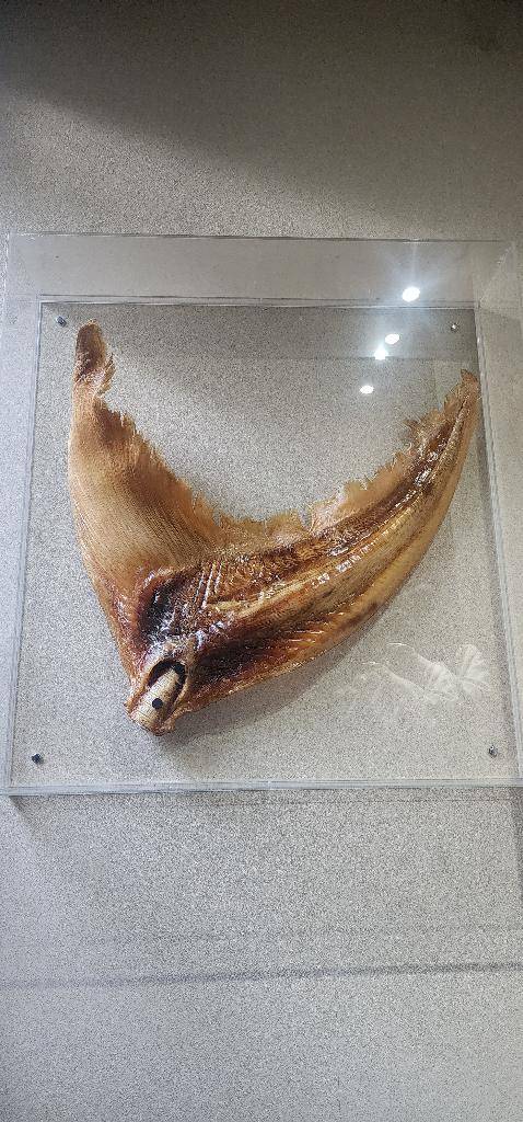 ぷるんぷるんで