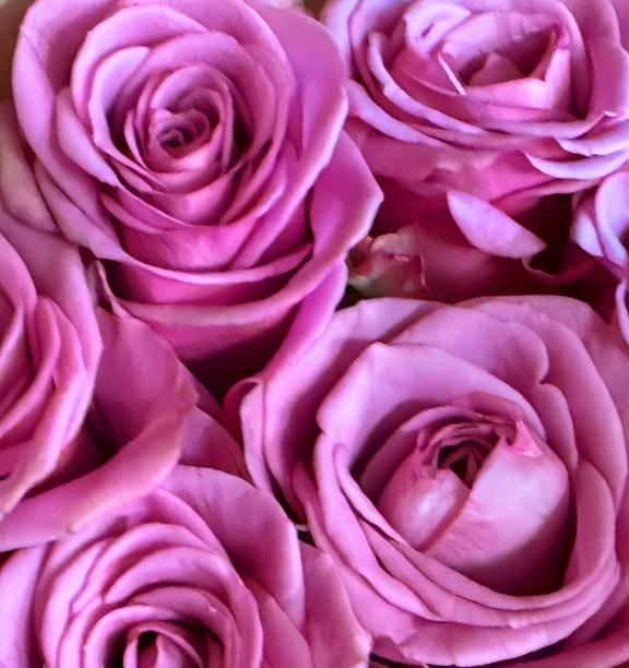 森川つばき(アラ40アラ50na奥様)