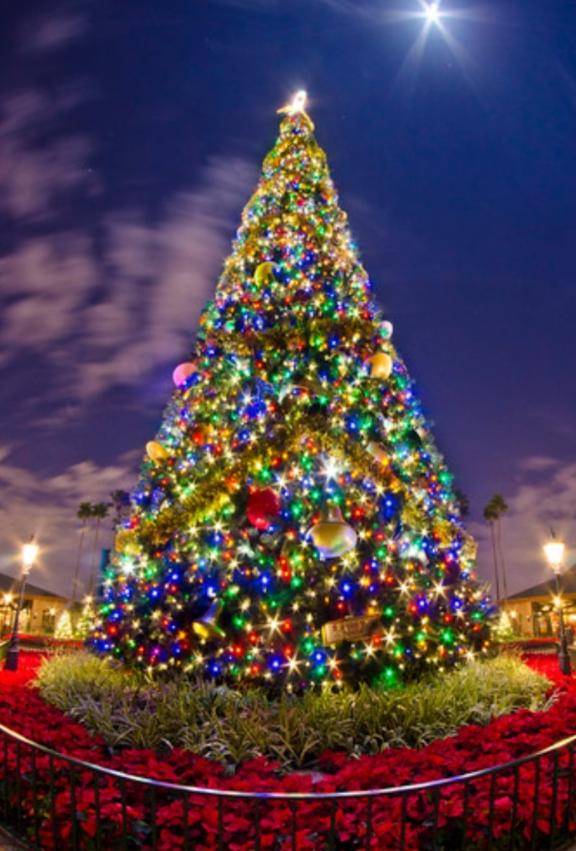 メリークリスマス