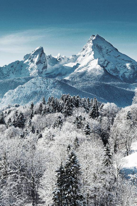 ありがとうございました??