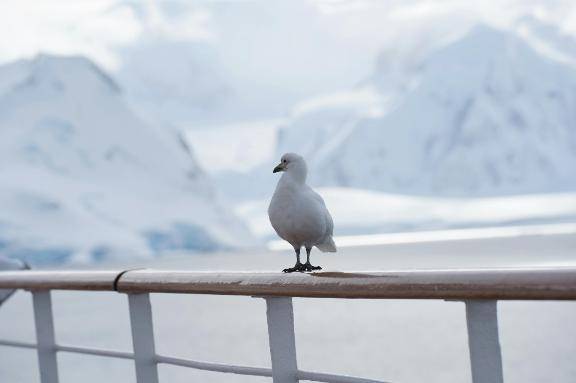 おはようございます?