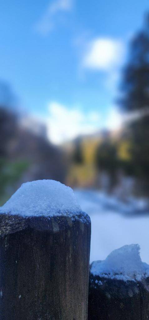 昨日もあたたかで