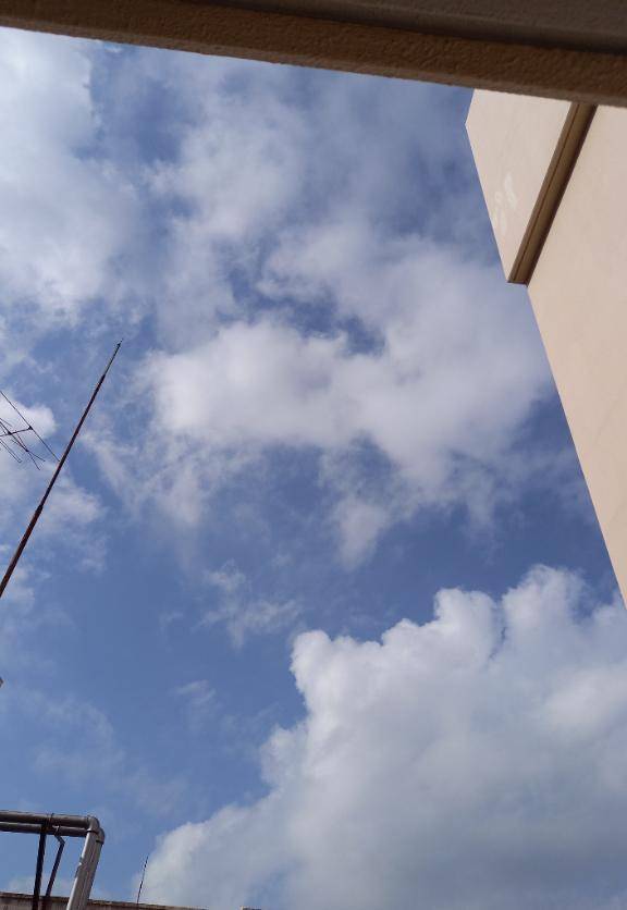 メンテナンスな日?