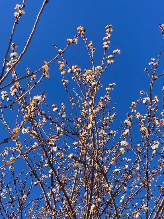 ごめんなさい…?