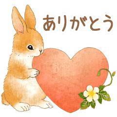 ありがとうございました