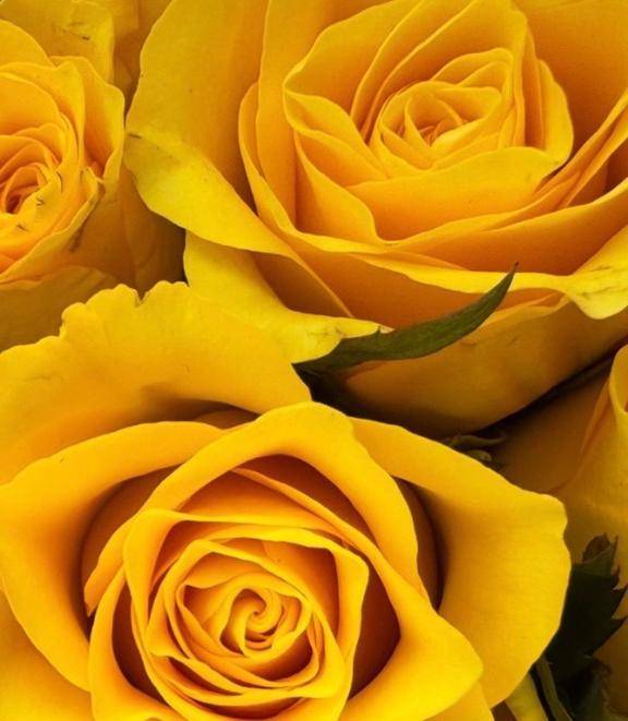 しっかり者なのにぃ～