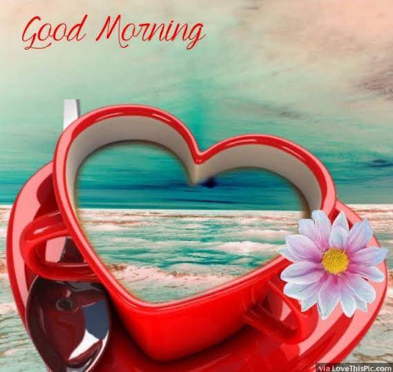 おはようございます(o^^o)