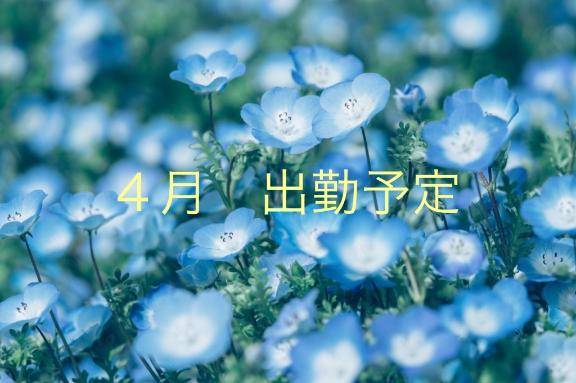 ４月後半出勤予定?
