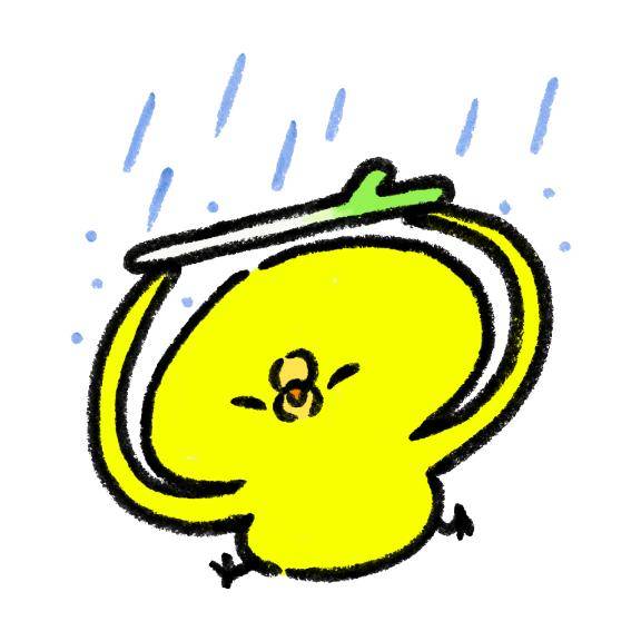 おはようございます