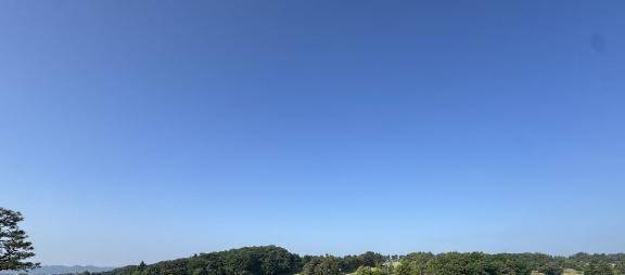 今日は
