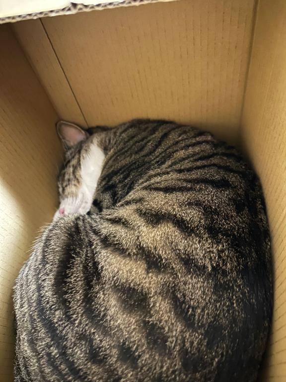 すみません?