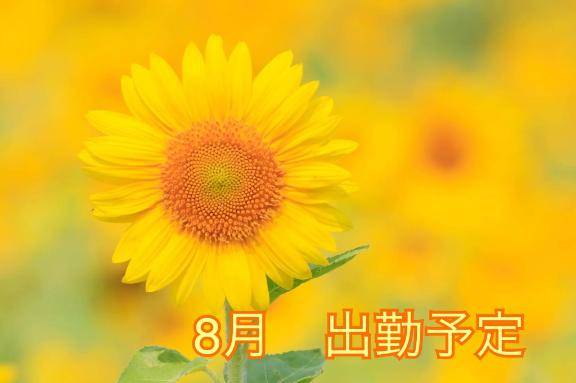 8月出勤予定?