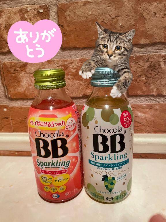 帰路についてます♪(?????)♪