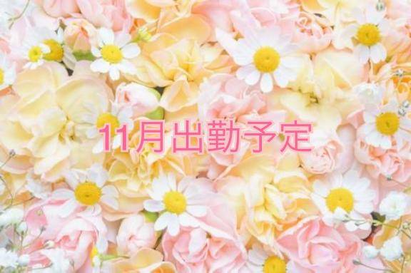 11月出勤予定?