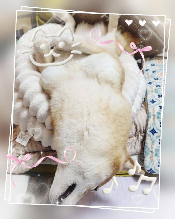おはようございます?