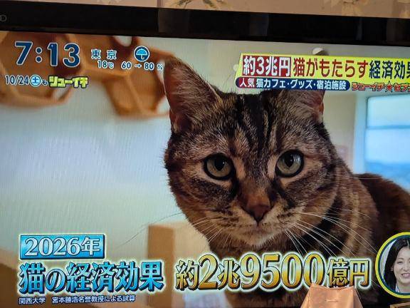 まんまと引っかかっている…?