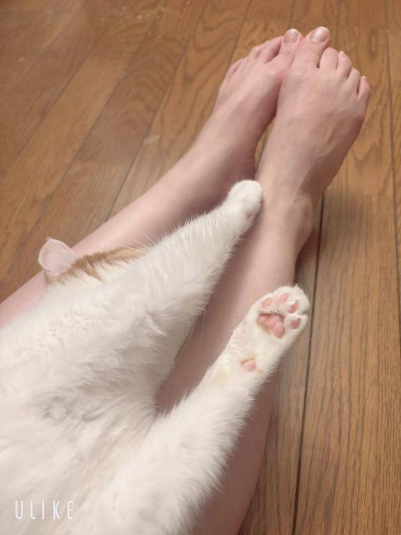 遅刻