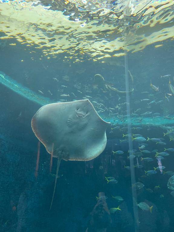 まどか(さいたまストリートスナップ西川口店)