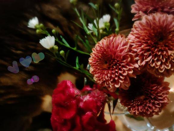 三浦しほ（洗体アカスリとHなスパのお店）