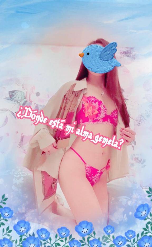 たくさん🦋